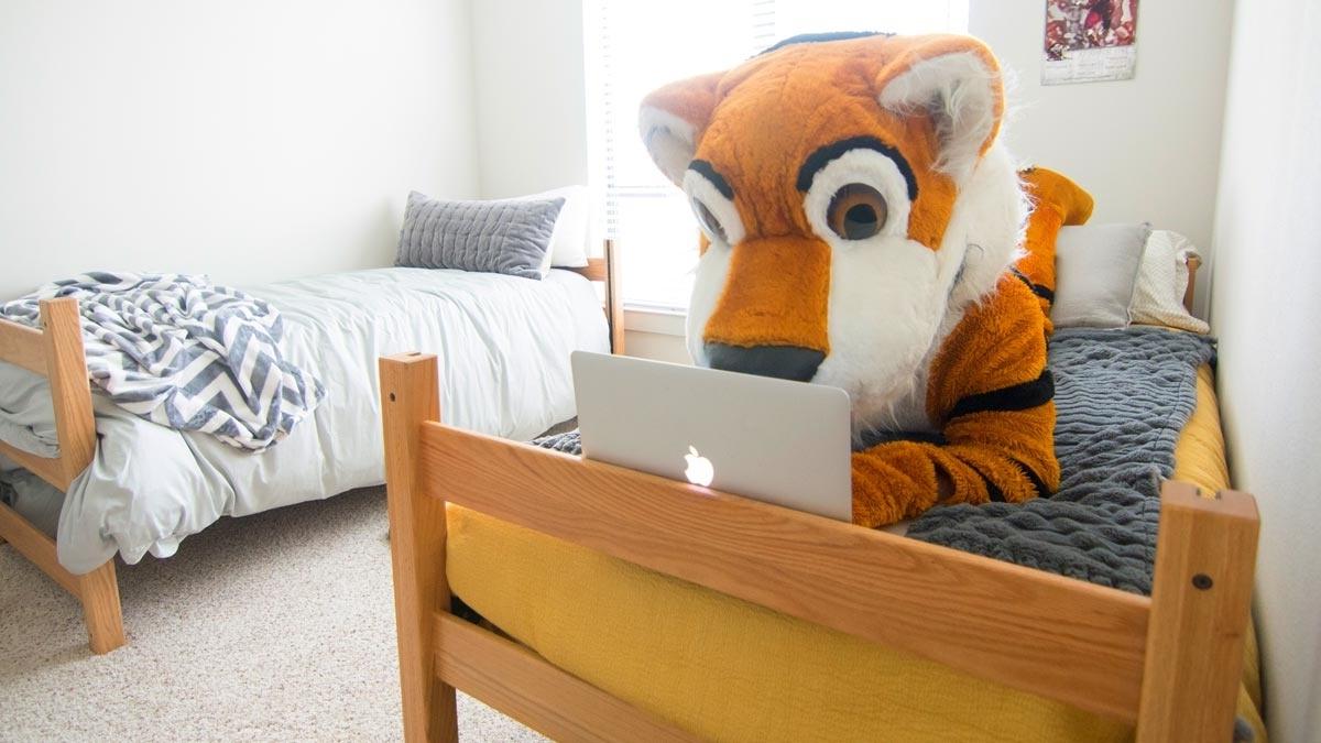 吉祥物Leeroy在宿舍的床上学习.